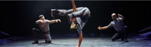 Elements of Freestyle Workshops
