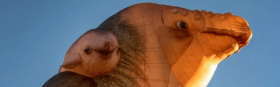 Skywhales Across Australia