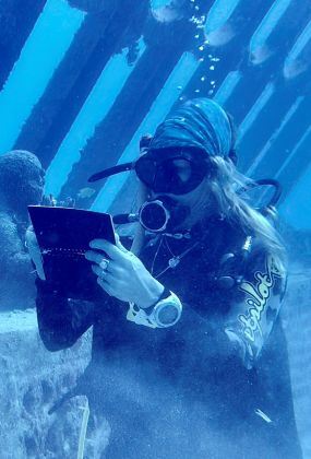 Discover Dive Draw
