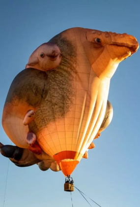 Skywhales Across Australia