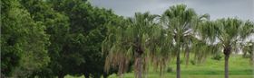 Bicentennial Park